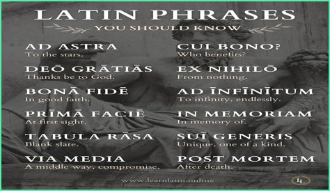 A Profile Of A Latin Beauty